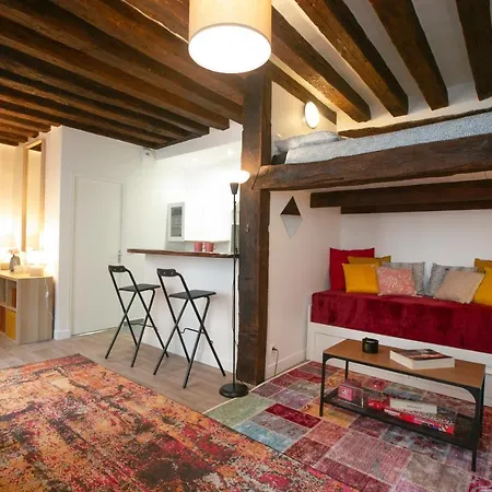 Authentic In Center Of Parisian Marais